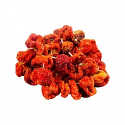 KURUTULMUŞ BİBER (45 ADET )